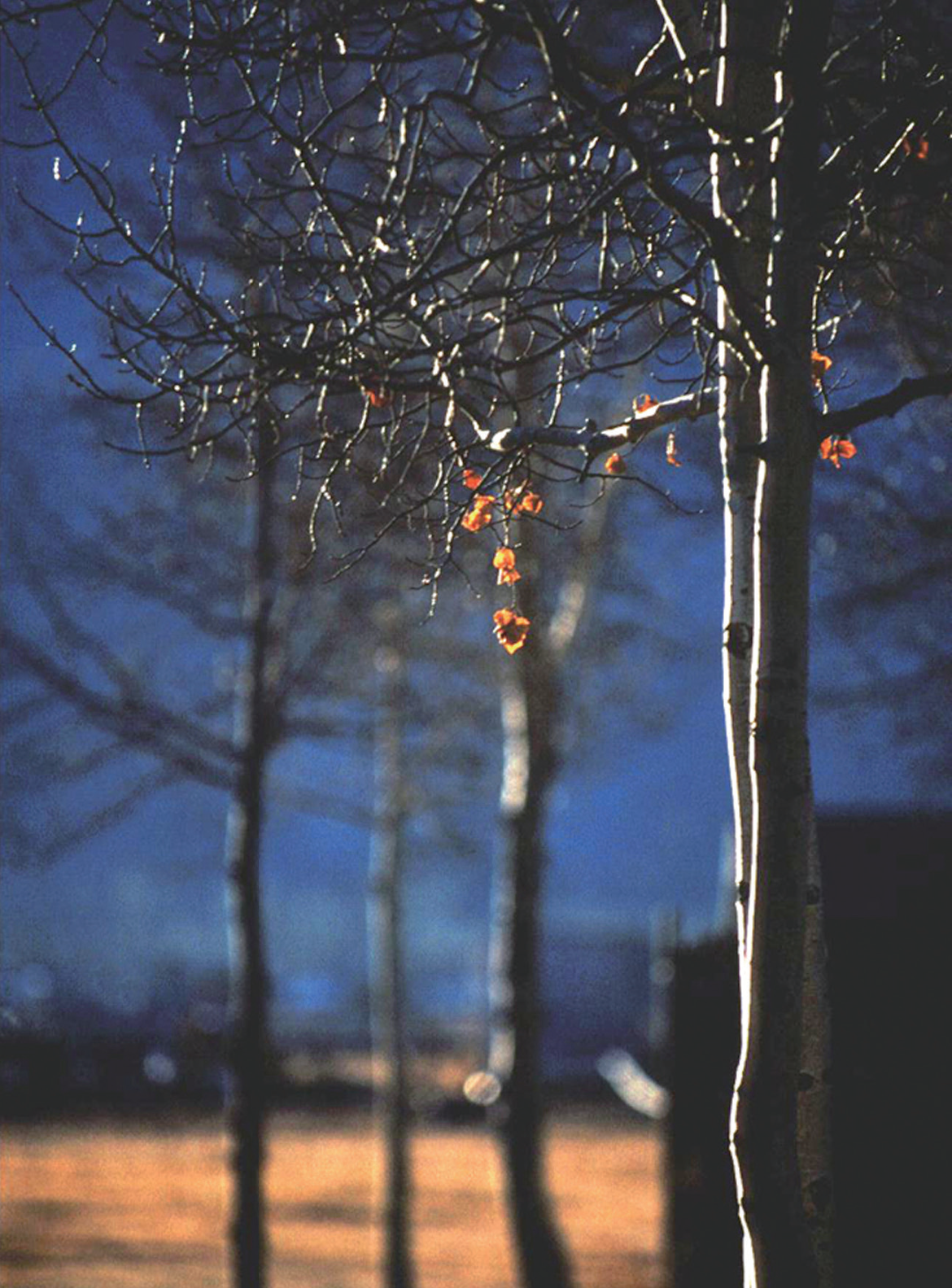 [함철훈의 사진 이야기] 사월