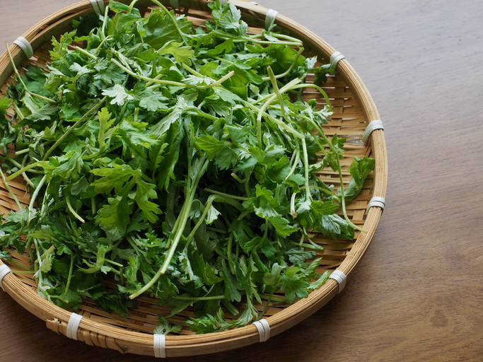 봄의 전령사 쑥, 건강과 입맛을 사로잡다