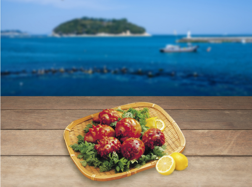 한국의 나폴리 통영에서 맛보는 제철 멍게 비빔밥