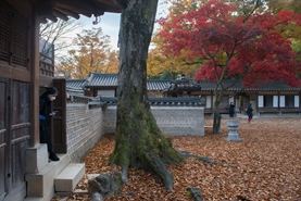 [에세이] 카이로스 시간으로_"의미있는 내 시간을 찾아서!"