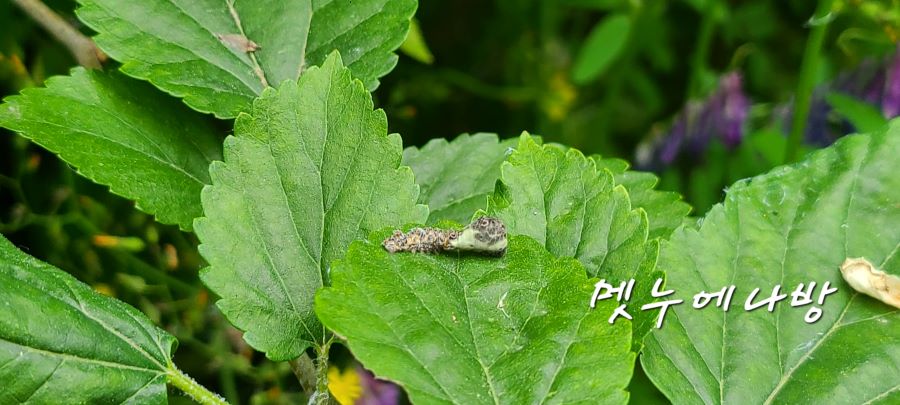 물가4.jpg