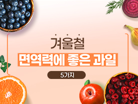 [📌매거진] 겨울철 면역력에 좋은 과일 5가지